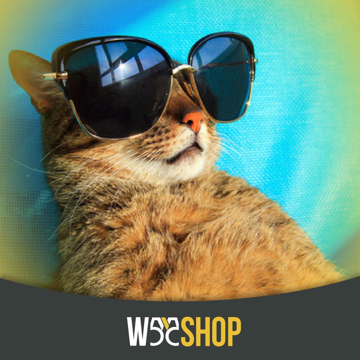 W55shop's tweet photo. Oggi è la Giornata del Gatto! Non c'è momento migliore per spendere i tuoi Wkey: tra i #W55Shop puoi trovare anche pet shop  e veterinari! https://t.co/VCxHf86jPL