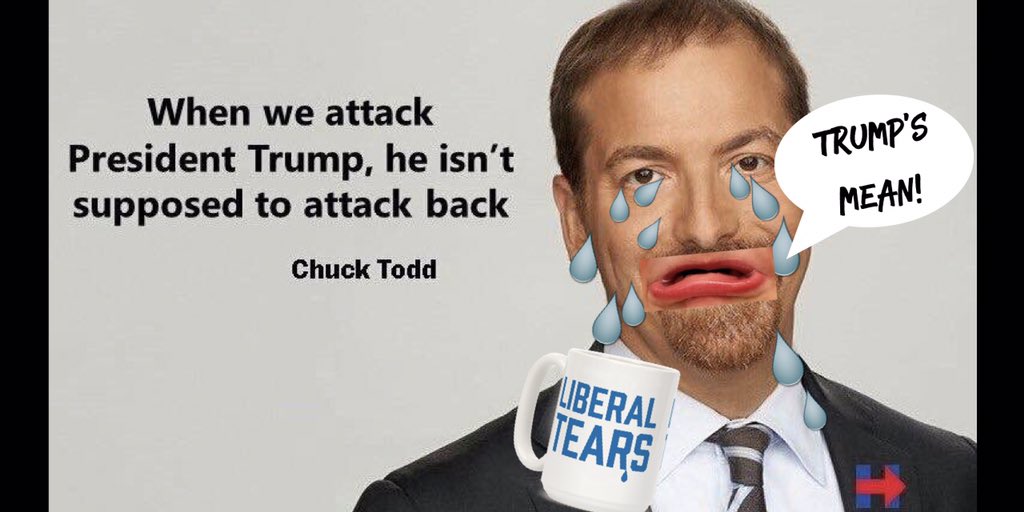 TrumpGalaxy's tweet photo. @RealJamesWoods @albo9124 

@RealJamesWoods @albo9124 

Chuck Todd Reporting:

75% Fake News
10% Personal Opinions
15% Emotional Crying https://t.co/DiJBHr0gU7