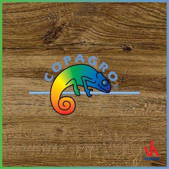 Er staan weer enkele activiteiten op de agenda voor volgende week. Check habeco.nl met <a href="/partners_paint/">Partners in Paint</a> @CaparolNL <a href="/kok_leon/">COPAGRO</a>