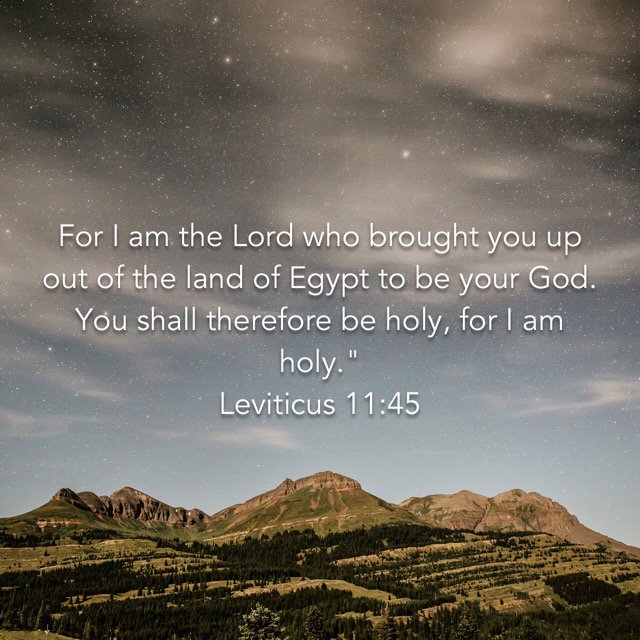 TheWayTulsa's tweet photo. This is the point of the law. God is holy, &amp; holiness is His standard. The law teaches us about the holiness of God.
#holy #God #law #bible https://t.co/YE4FC2NPDG