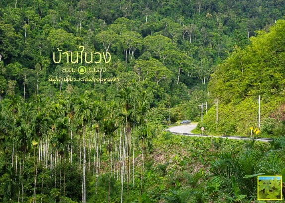 readmeSocialTH's tweet photo. The Homestay in the Middle of the Jungle " Baan Nai Wong #Rayong The Small Village in the Mountains.#Thailand
https://t.co/bwoxdAJ1S7 https://t.co/kKaLEjJAEK