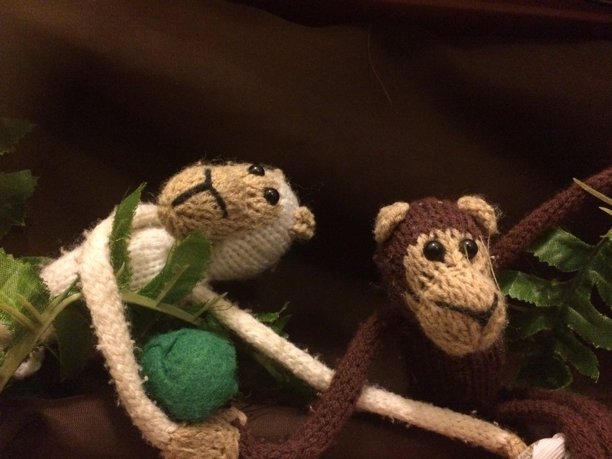 Introducing the trapeeze duo Enzo and Mario - "the Flying Banana Brothers" making their world premiere! Fringe 2017