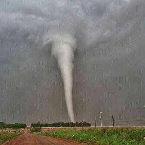 realthemba0's tweet photo. Dineo on the way now https://t.co/A8Y2BHio6N