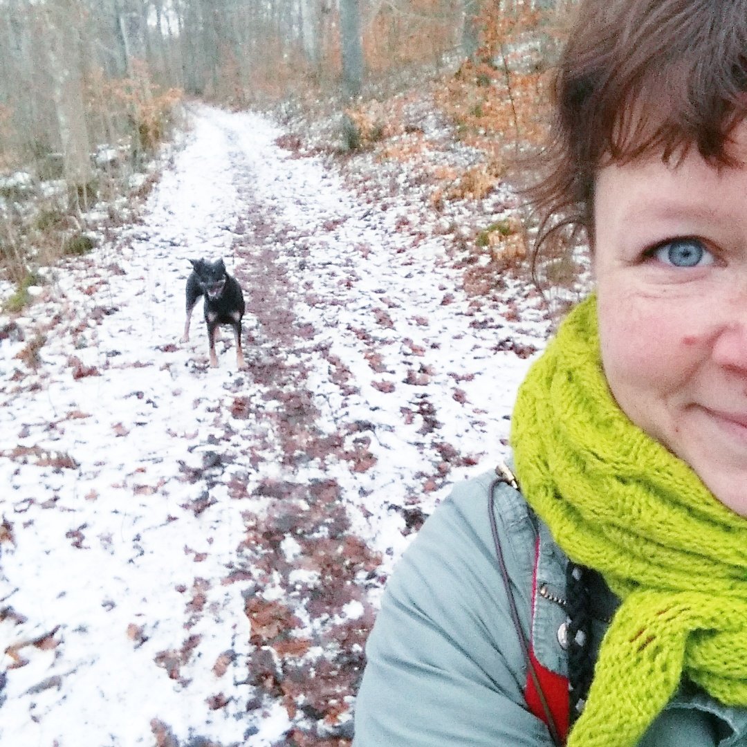sticklingens's tweet photo. Vi njuter!

#finnsingetbättre #iskogen https://t.co/zG8h5movK7