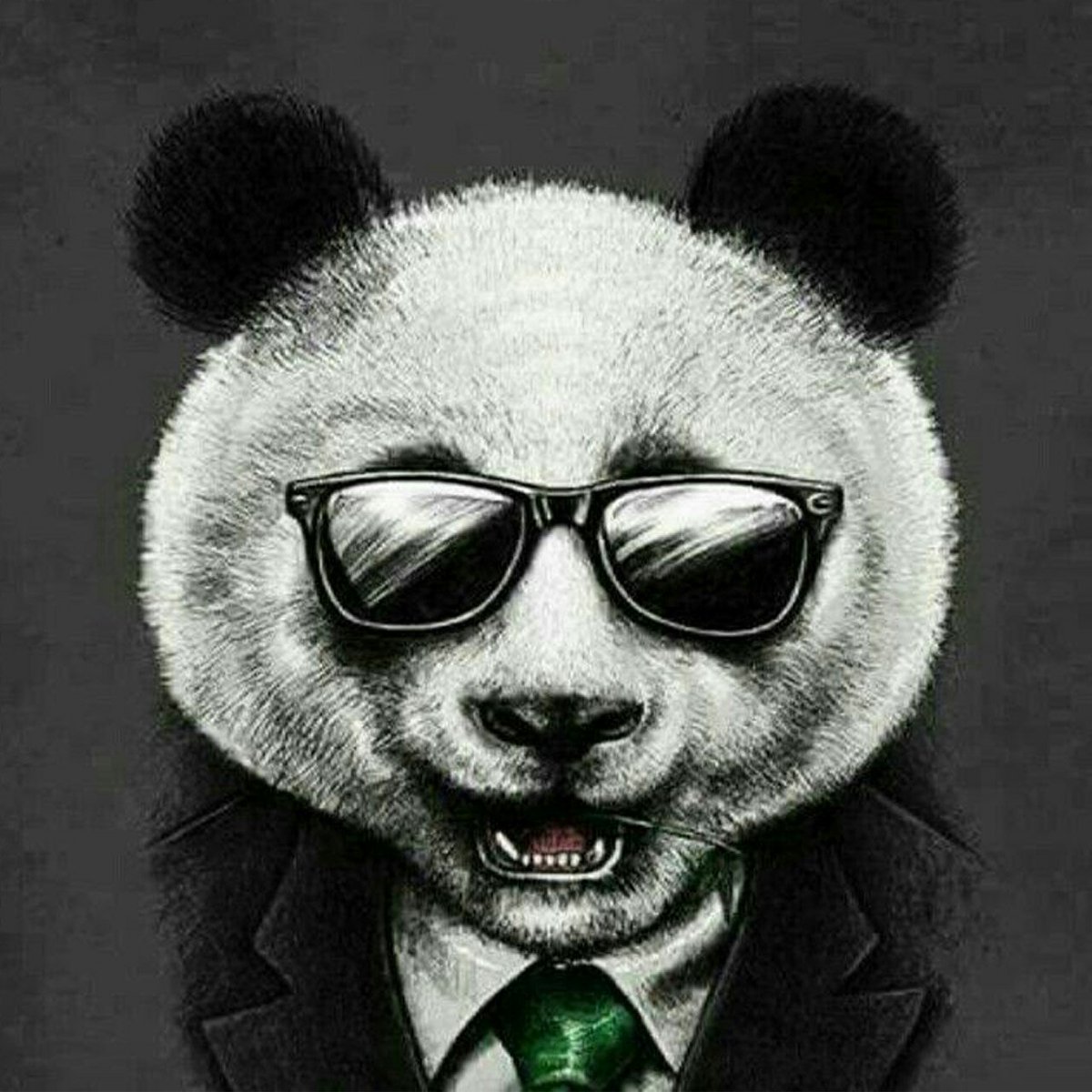 BazMyster's tweet photo. #NewProfilePic https://t.co/ie56JUoma0