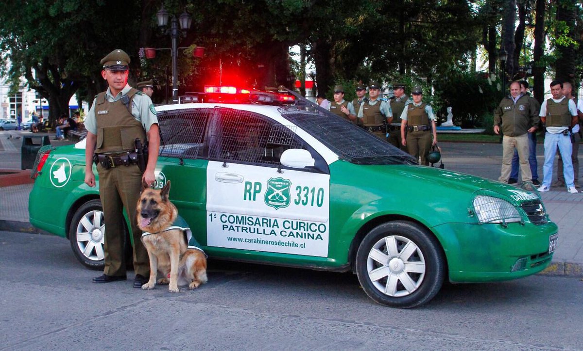 Carabineros de Chile en Twitter: "#Curicó: Carabineros efectúa ...