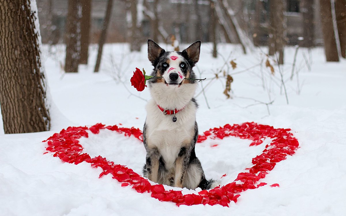 МЗС нагадує, що з 1 січня в'їзд в Україну громадян Росії відбуватиметься з фіксацією біометричних даних - Цензор.НЕТ 717