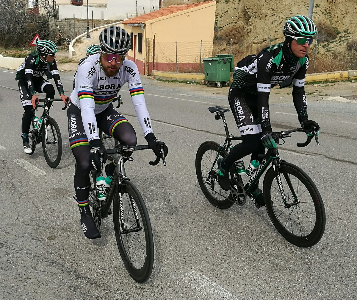 sierra nevada bike jersey