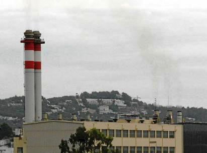 AmicsTerra Eivissa tweet media