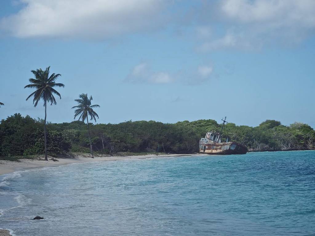 1000meilenwind's tweet photo. Carriacou Shipwreck #1000meilenwind #summer #travel #holydays #carribean #beachlife #shipw… https://t.co/dJkDXarYFi https://t.co/1BDYofmW4b