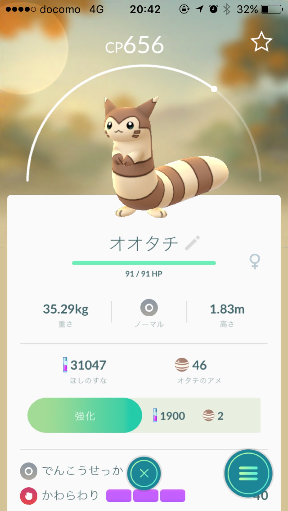 Sigh 今回かわいいの多い気がする オタチかわいいオオタチかわいい オタチが進化 したらなんでオオタチになるのか納得いかないけど進化後もかわいいので許す クマはあざとかわいい ハネッコ葉っぱ痛みそうで心配