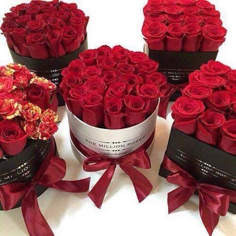 ⁧#فهد_يناشد_كل_القبايل⁩
⁧#اللهم_فك_اسر_فهد⁩
⁧#تكفون_انقذوا_جوري⁩
⁧#اللهم_اشف_ام_ميشو⁩
⁧#فزعتكم_باقي_عشره_ايام⁩
⁧#ملكه_الترند_الريم_32k⁩