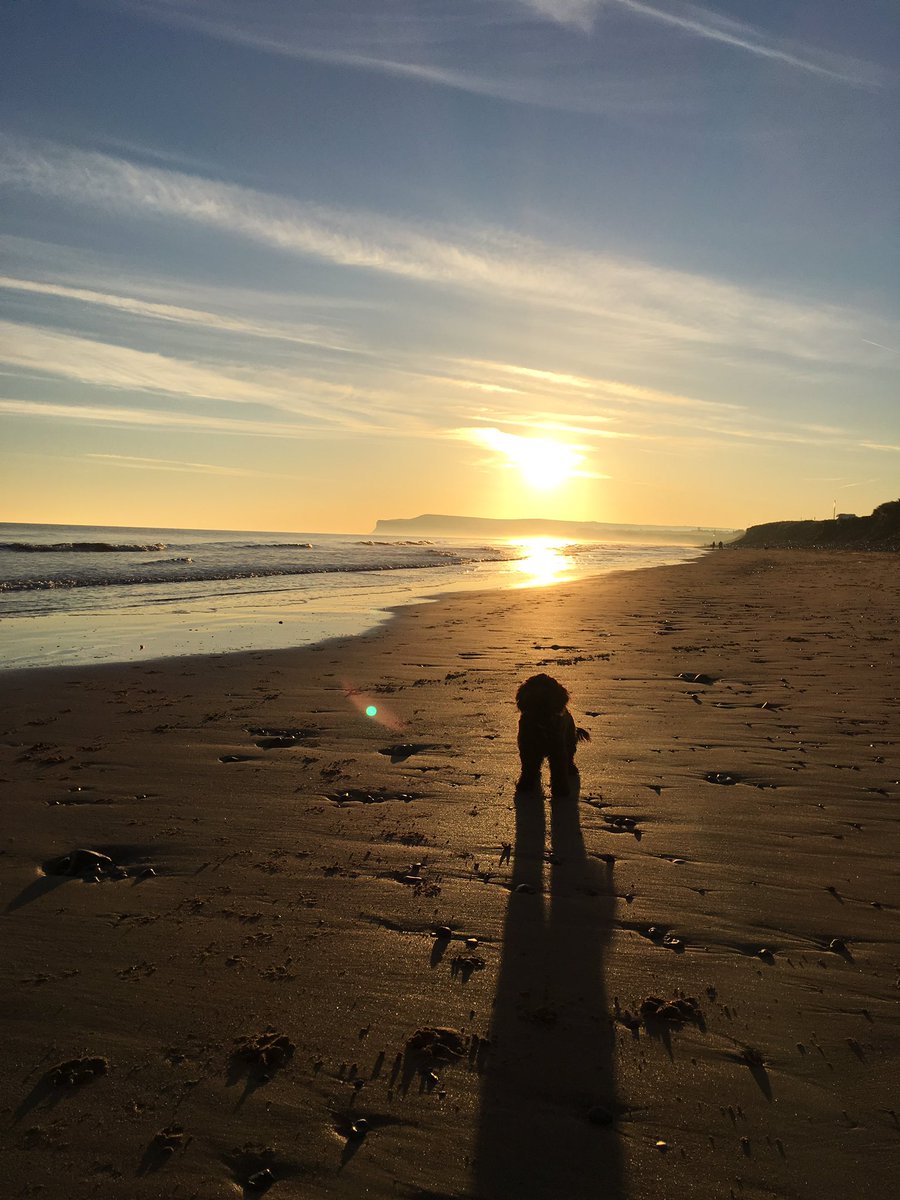 Beautiful on #Redcar #beach this morning ☀️🐶