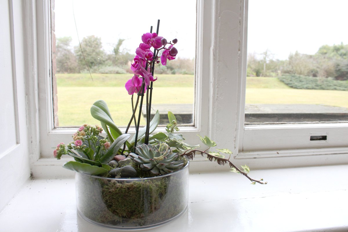 Our #Fridayfeeling? Joy that our planted arrangement workshop comes to #Horsham on Mon 20 March. Details here: hillier.co.uk/garden-centres…