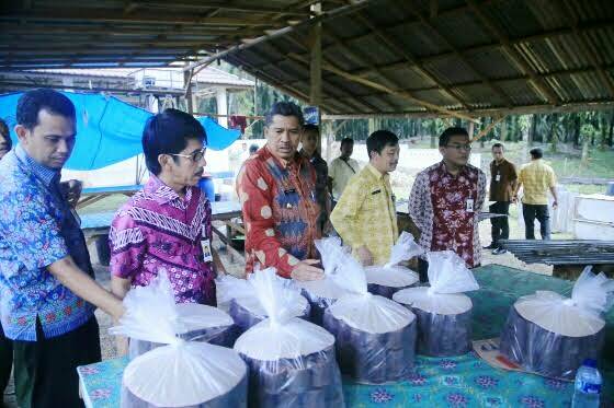 Bank Riau Kepri Siap Bantu Pilot Project 'Emas Merah' di Kampung Seminai-Siak dlvr.it/NPVYvw