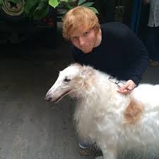 HAPPY BIRTHDAY 

Ed Sheeran 