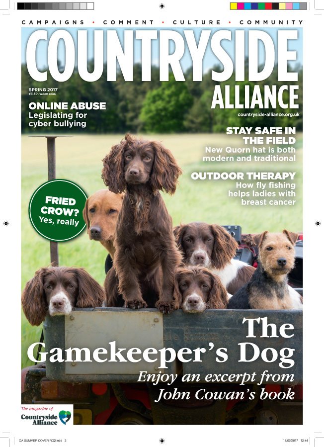 CAjilly's tweet photo. All hail the final cover in the current style before our mag undergoes a facelift. Opted to go out on a high with multiple #spaniels. #SOTD https://t.co/6cdUBugA5n