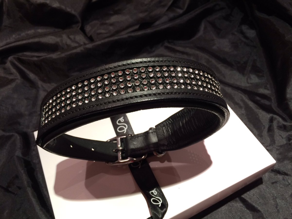 StampedeEq's tweet photo. Dazzling dog collars, get noticed on your walks #goodvetguide #puphour #pupculture #pawsify https://t.co/TbTMHfjZfe