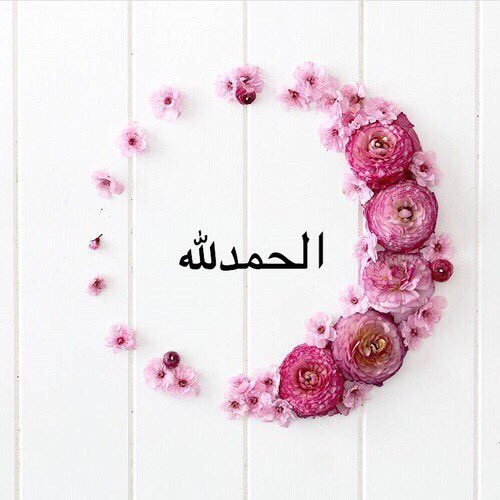 عرفان احمد tweet media