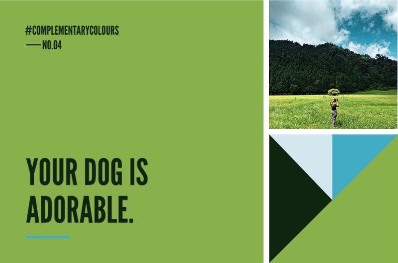 ElmwoodTweets's tweet image. #ComplementaryColours No.04. RGB: Green 136 176 75 / Dk Green 16 38 18 / Lt Blue 211, 231, 238 / Sky Blue 66 171 197. Photo: Tom Blachford.