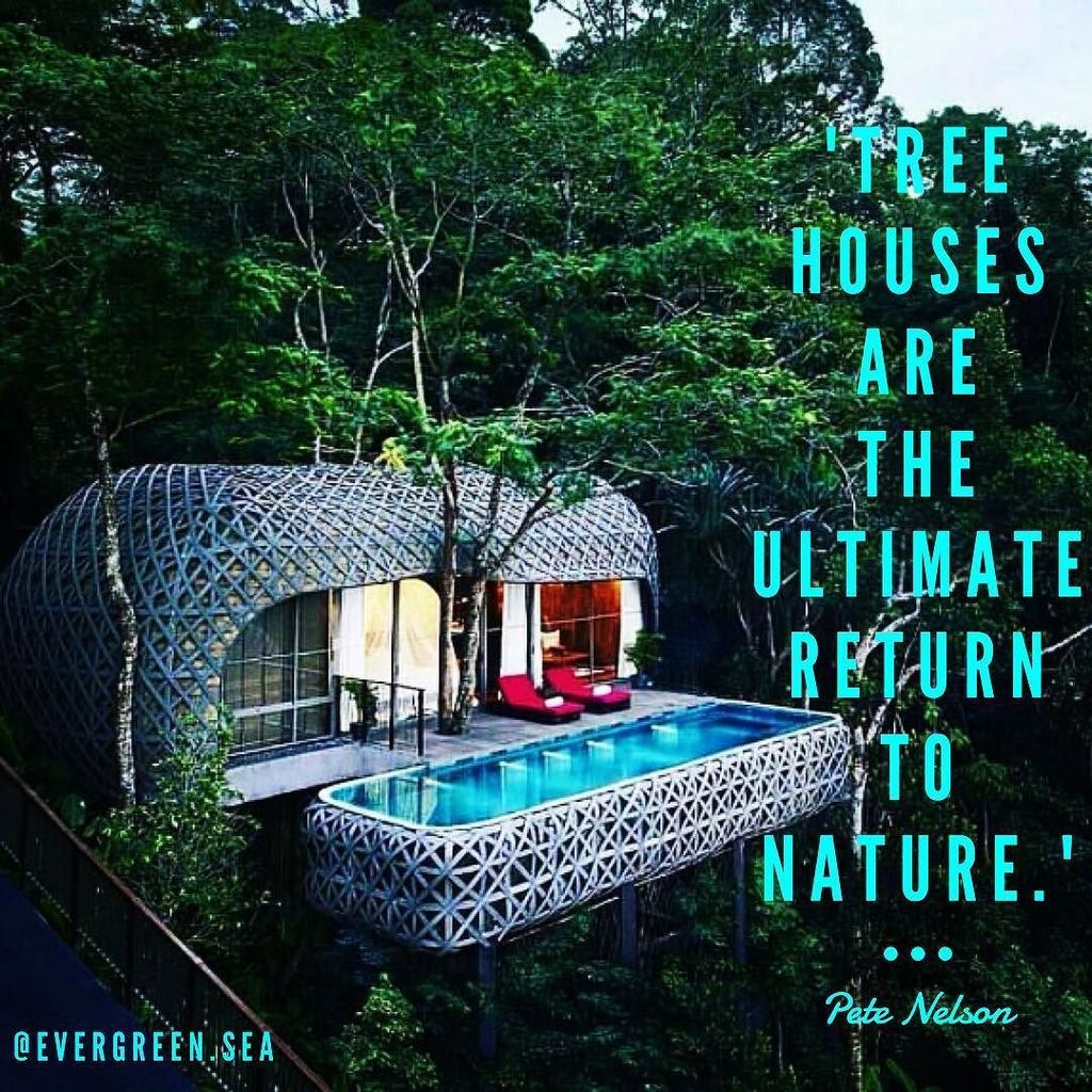 EverGreenSeas's tweet photo. ➡️➡️ Follow @evergreen.sea Can you See Yourself Here? Yes! 😊 #treehouse #treehousemaster… https://t.co/5et2uc0ex9 https://t.co/2gdkioNYYr
