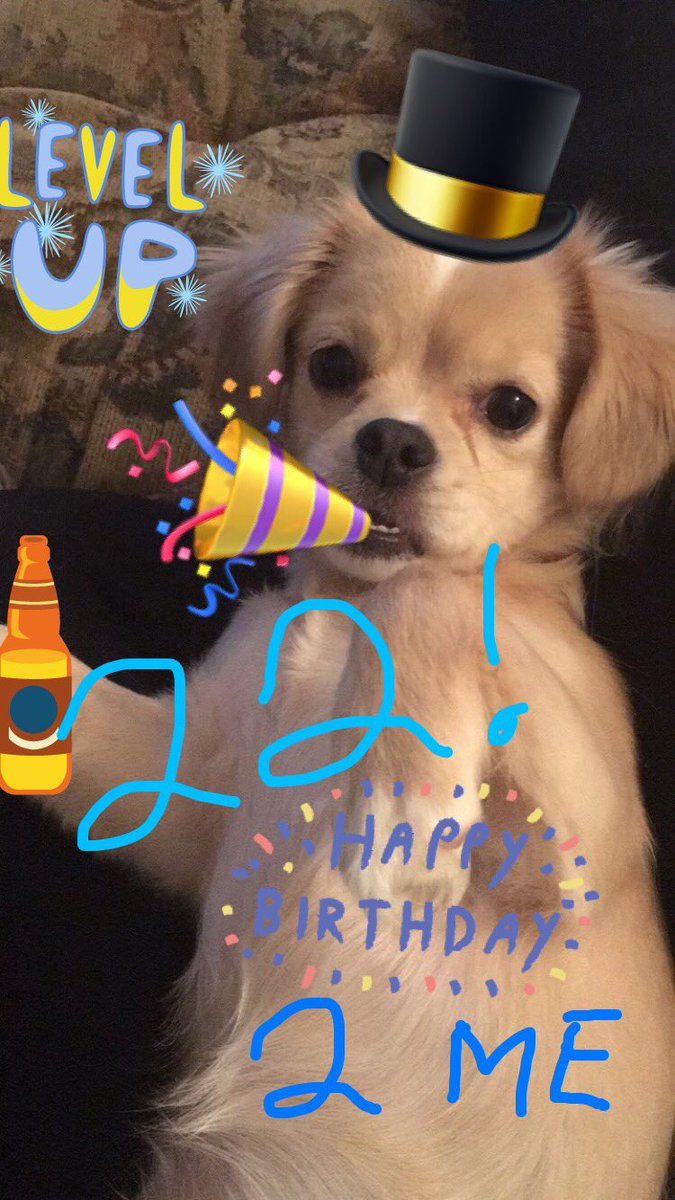 TheMFLoneStar's tweet photo. And the "Birthday Millie" tradition continues... https://t.co/3izXR3MJx0
