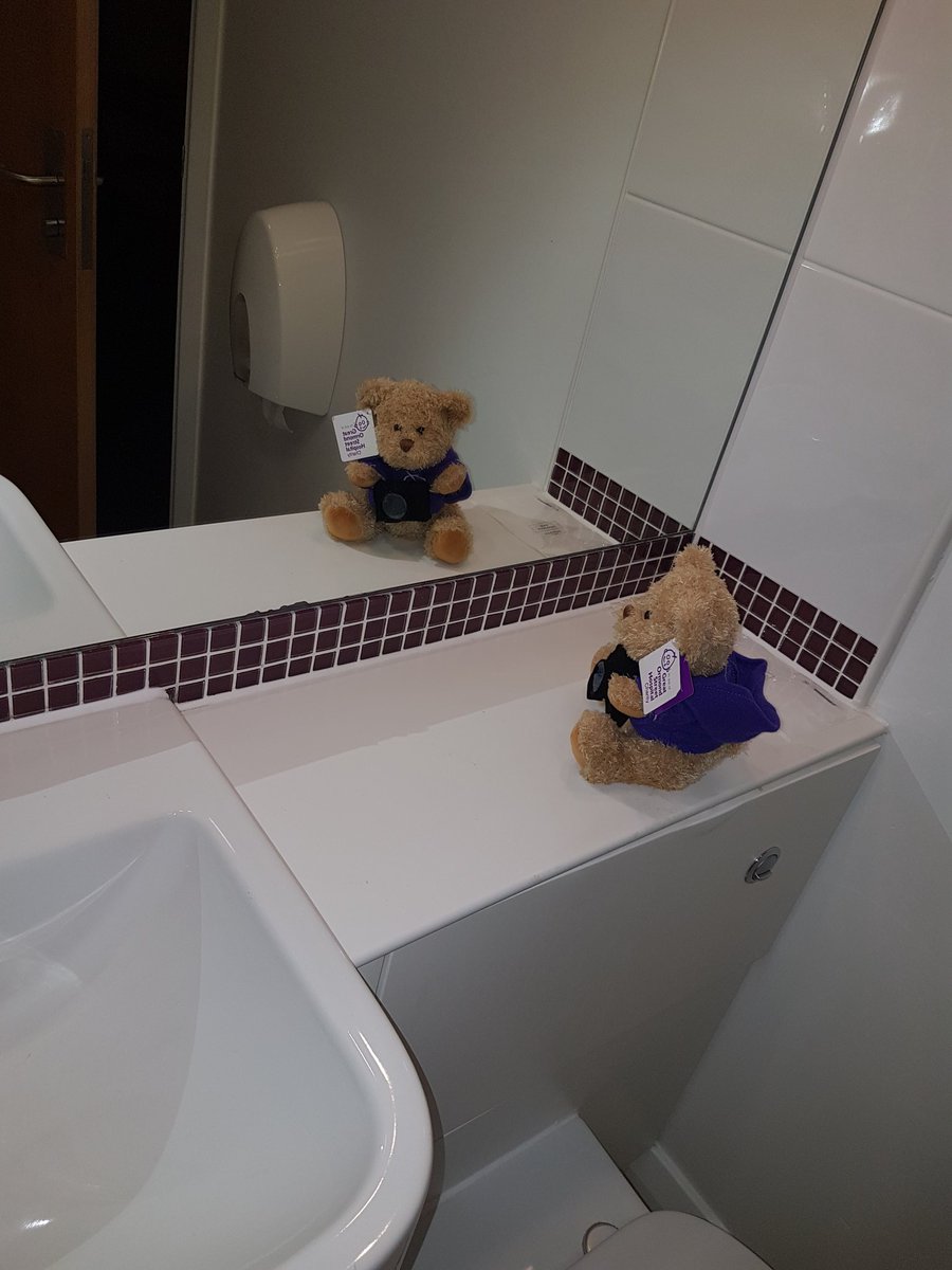 nclairport_pi's tweet photo. Caught @MrBernardBear  taking toilet selfies on his new camera before he heads out to celebrate the end #BernardBearWeek  @IAmAntBennett https://t.co/qagzSuWoaI