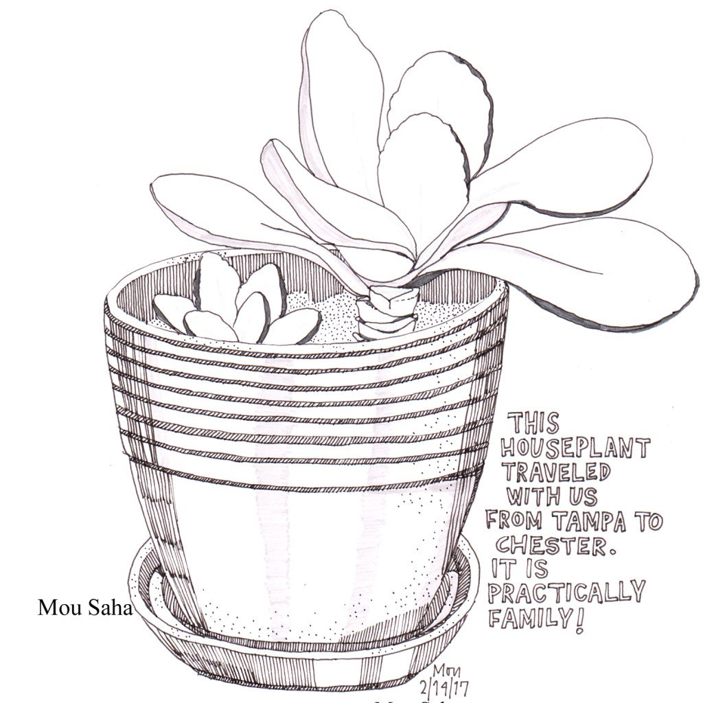 MouSaha's tweet photo. Houseplants https://t.co/BwX8bHdSTm https://t.co/QqDs2sDVMk