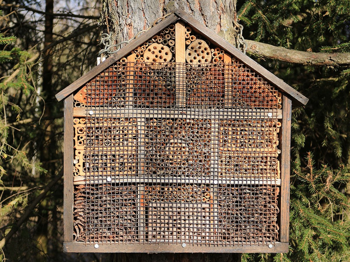 EasternMarket's tweet photo. Our #Pollinators Need Help! Here's How to Build a Native #Bee Hotel this Spring: https://t.co/oyaiyVOZCa 🐝🐝🐝 @ModFarm https://t.co/8QTL2mjeyX