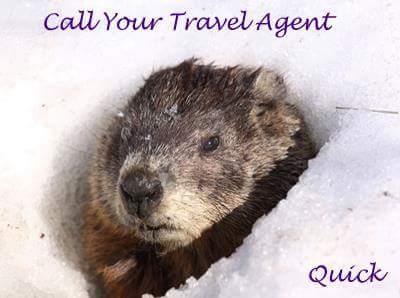 angtrips's tweet image. #getoutofthecold #exploreyourworld #vacationmemories #contactme @angtrips