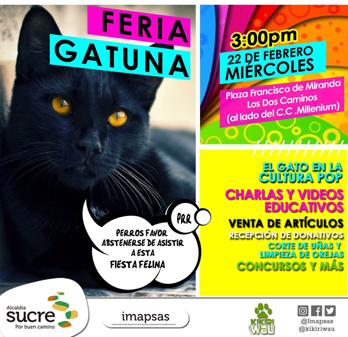 KikiriWau's tweet photo. Feria gatuna el próximo 22 de febrero en los dos Caminos #ccs. Charlas y videos educativos a partir de las 3 pm. https://t.co/bbVjYzN7sm https://t.co/krP0fTrqSH