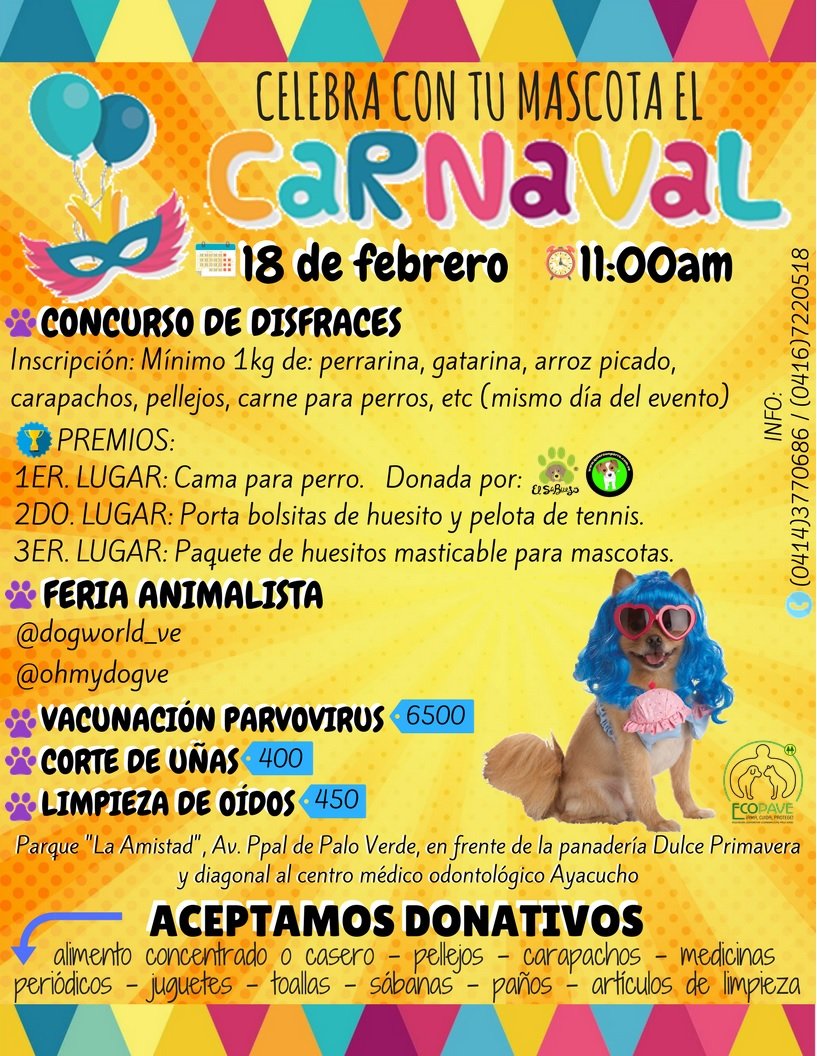 rmiamigofiel's tweet photo. Mañana tendremos nuestro evento de carnaval, no te lo pierdas!!🎊😆 https://t.co/0XTugLkyMi