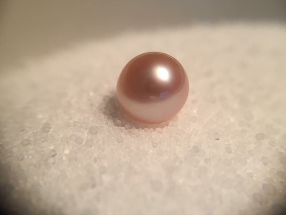 llmiller89's tweet photo. Pearls are always appropriate 💜 https://t.co/QPnrbX2N1T
