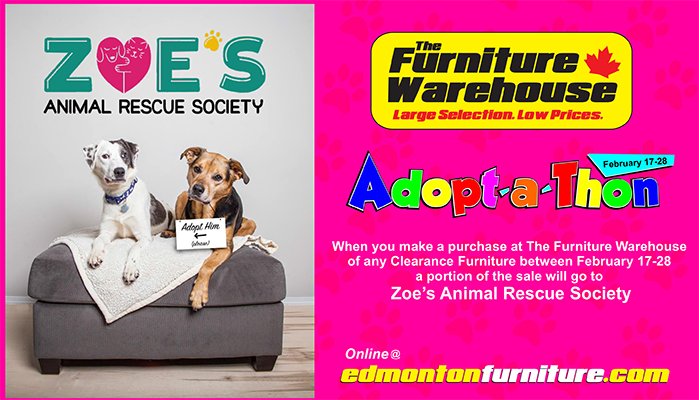 FurnitureYeg's tweet image. Make a purchase of any Clearance item between February 17-28 a portion of the sale will go to Zoe’s Animal Rescue Society. @FurRSQ
