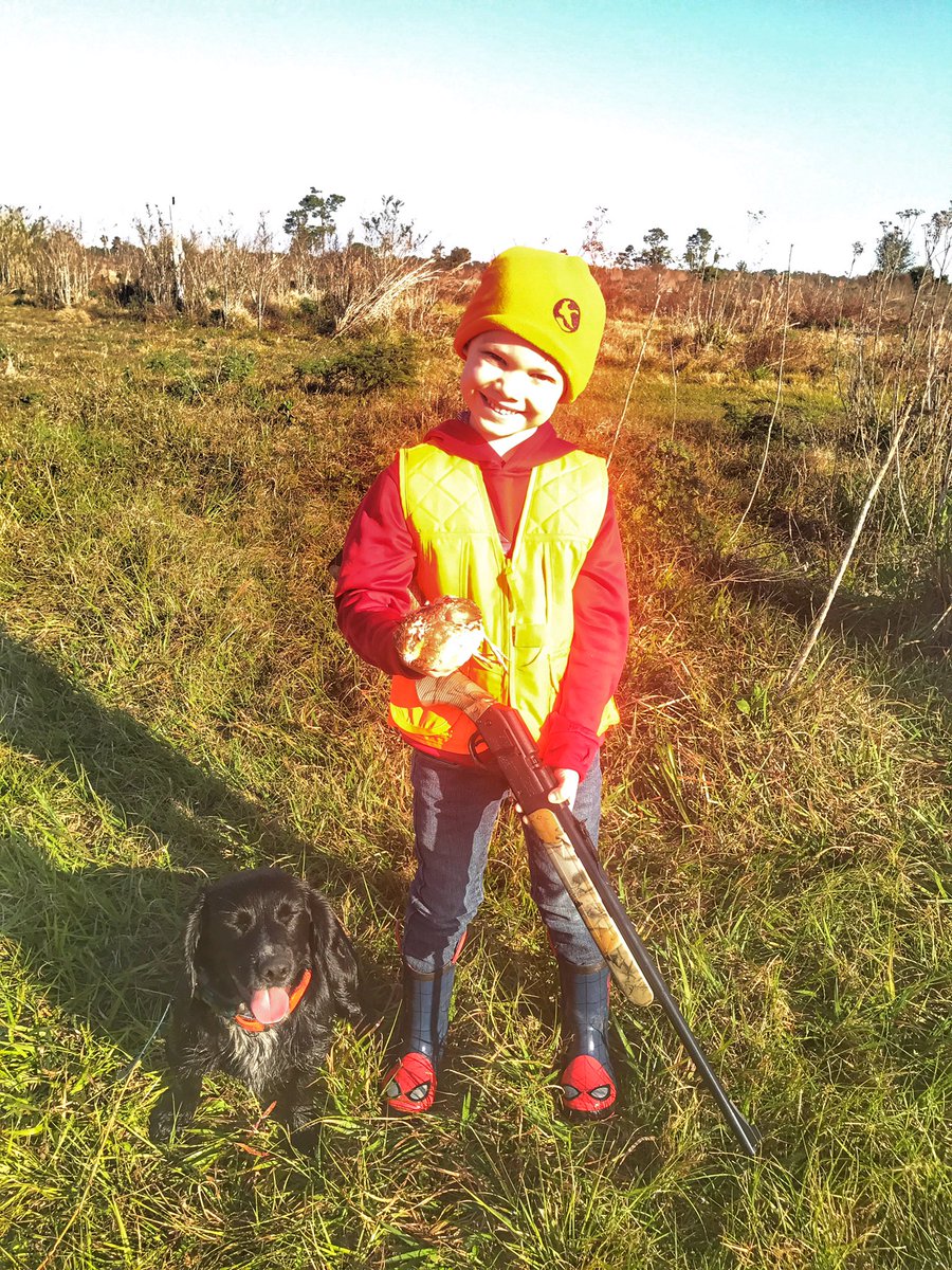 myersm48's tweet photo. 6 yr old Michael killed 6 birds this morning with a BB gun love it #pineridgeplantation #englishcocker #gundog #quailhunter https://t.co/rW1RswR9re