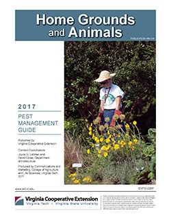 VAExtensionPubs's tweet photo. The "Pest Management Guide: Home Grounds and Animals, 2017" is now available. https://t.co/KImNXvtdX3 #pestmanagementguide #homegrounds https://t.co/LNkEiufbza