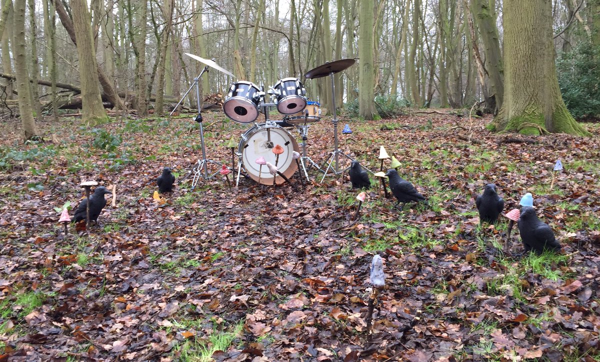 ABlueZoo's tweet photo. Funganista video 
A murder of crows, a ring of mushrooms and a set of drums..
"There's trouble in the woods" @The1980sGirl @Queenofthe80s https://t.co/6ZFgKjSbgX