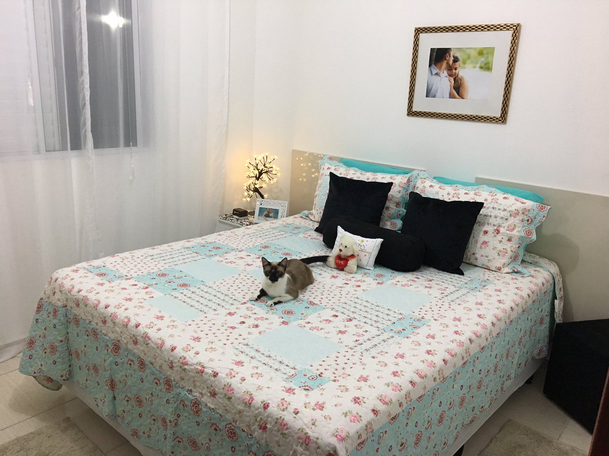 _SABRYN_A's tweet photo. #Idormiu 😴😴🐱 https://t.co/HuyNp4nTcT