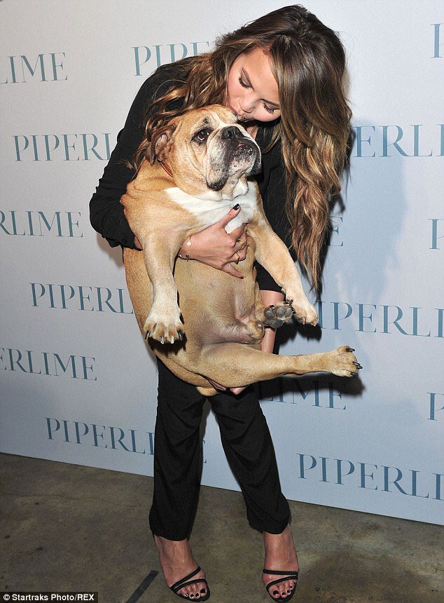 __ashnicole's tweet photo. If she's not my spirit animal idk who is @chrissyteigen https://t.co/zOvEG8ElD0