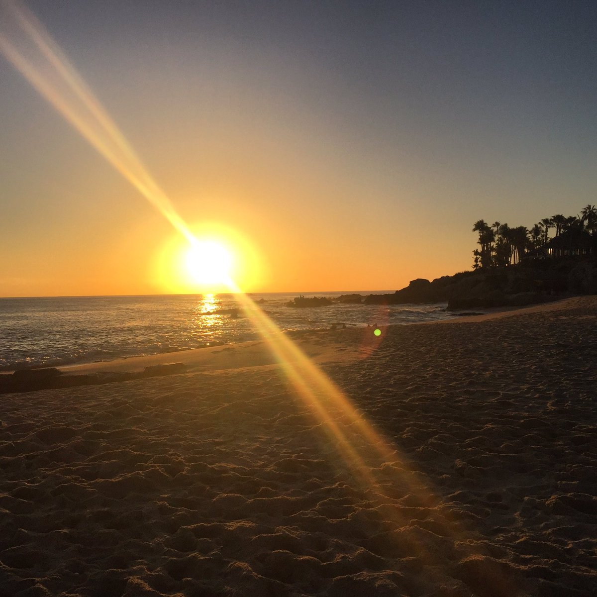 ibeanaidoo's tweet photo. Daylight, I must wait for the sunrise. I must think of a new life, and I mustn't give in! #sunrise #moduvatedtobefit #sunriserun #friyay https://t.co/drptFD1fBC