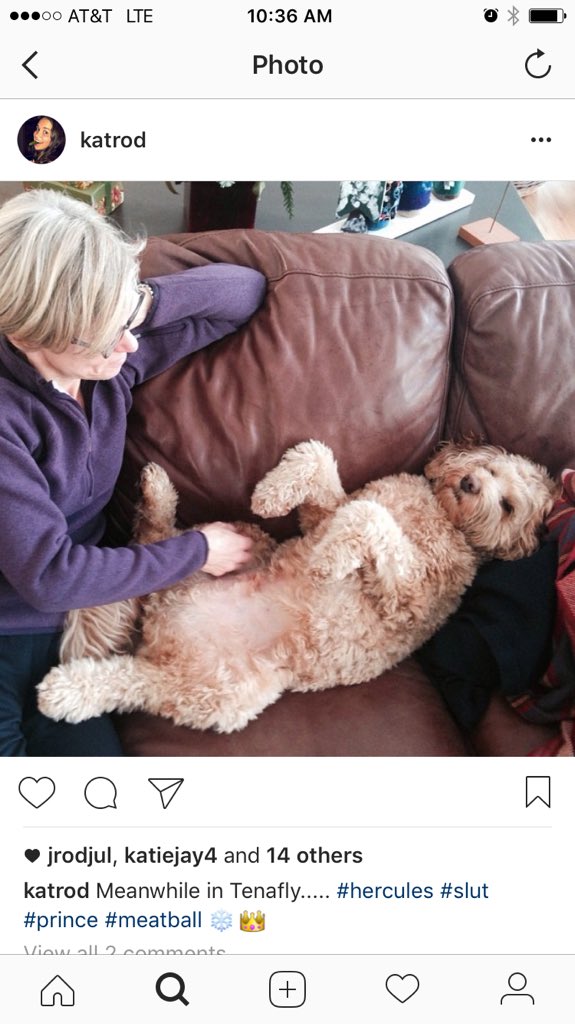 Amy Rodriguez tweet media