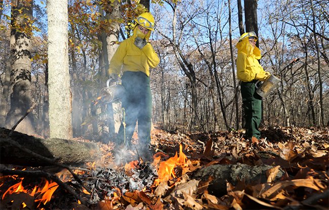 PurdueFNR's tweet photo. .@LifeAtPurdue as #PurdueFNR student, controlled #fire burn at Martell Forest, FNR 333 & FNR 339 #forestburn https://t.co/rAdpPe6MTO