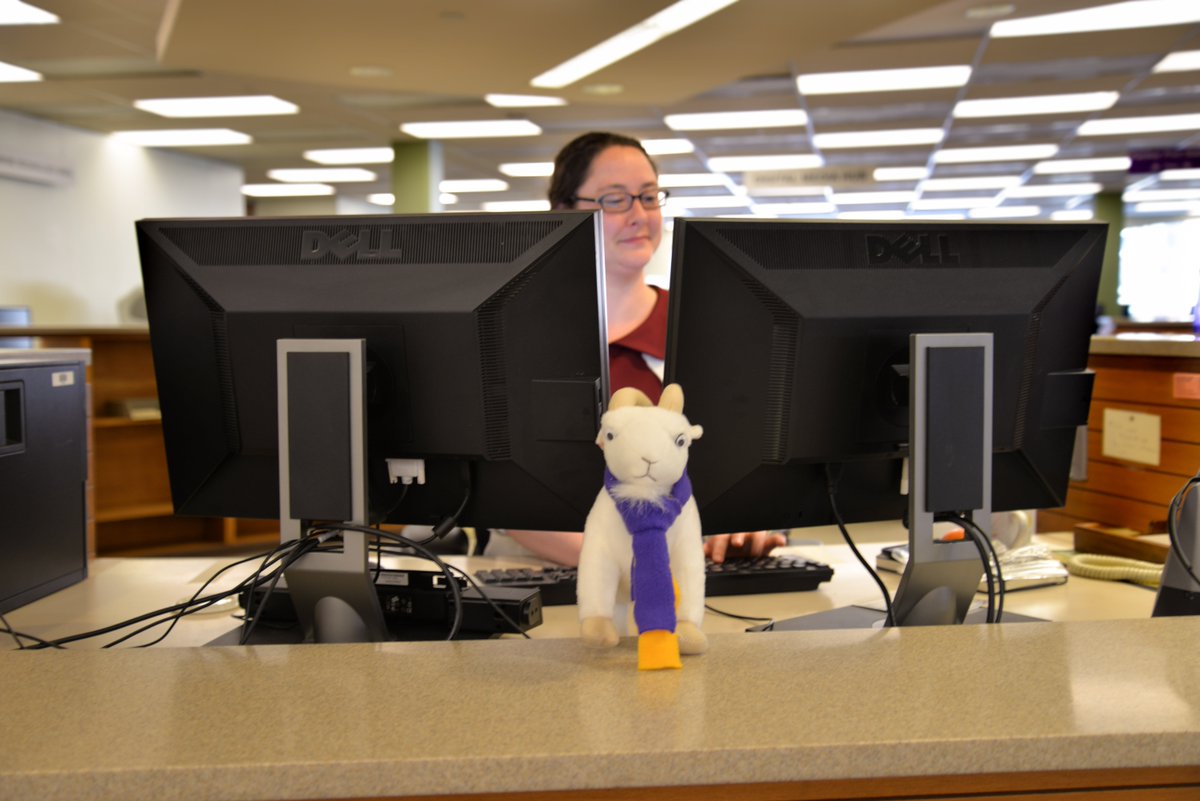 RodLibrary's tweet photo. Billy needs help on a paper and notices FPAC Librarian Angela is at the research help desk. Where's Billy? #FindItAtRod #BillyTheLibraryKid https://t.co/mquLgmVS5f