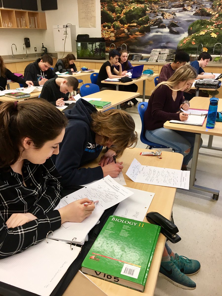 SBI3U creating a dichotomous key for shark species #valour #RCDSBTweets