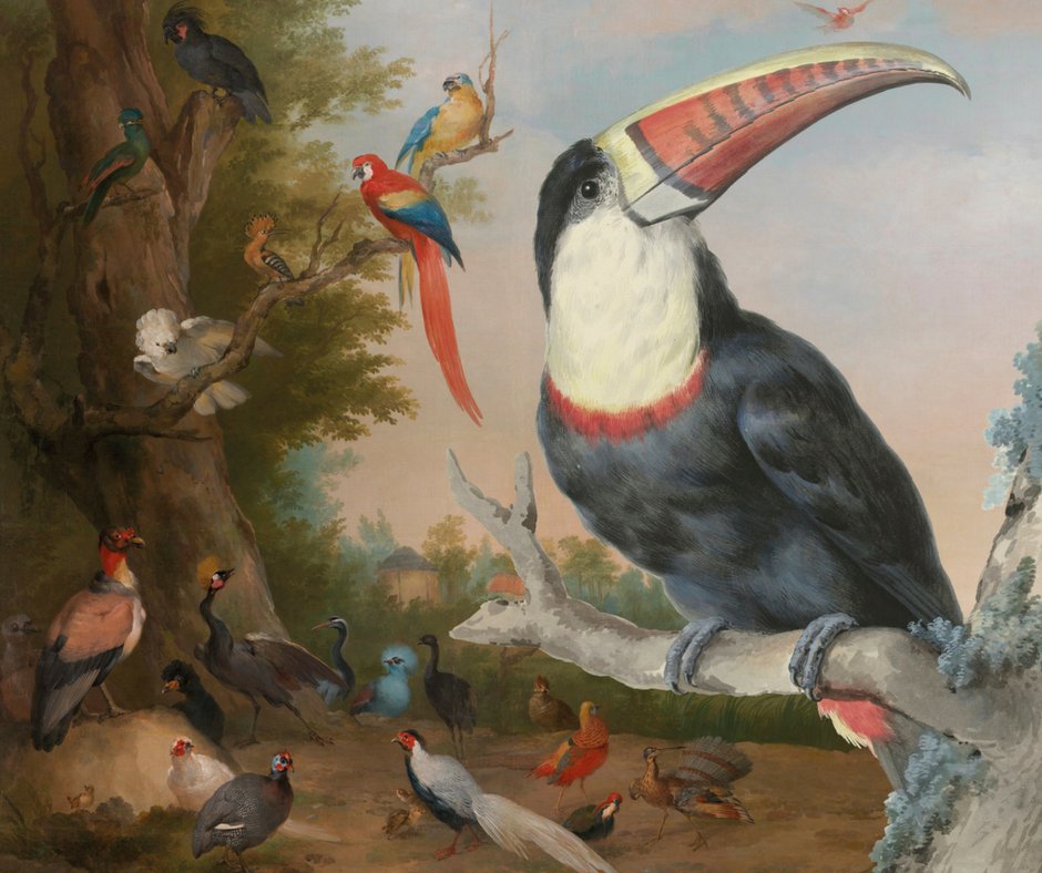 Beleef de natuur &amp; kijk mee door de ogen van schilder #AertSchouman bij "Een Koninklijk Paradijs" in <a href="/hetdordts/">Dordrechts Museum</a>! bit.ly/Aert_Schouman_…