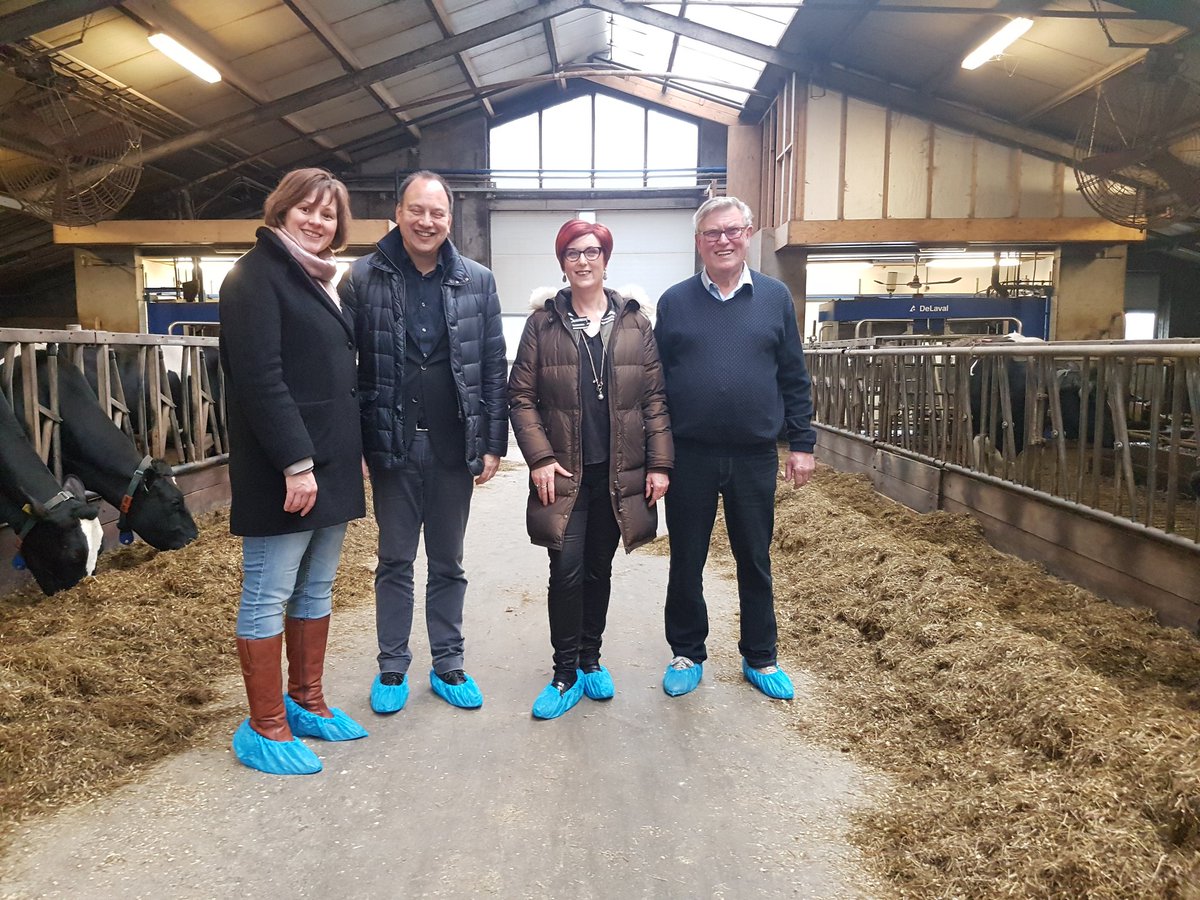 HupkesKarolien's tweet photo. Vandaag heeft onze burgemeester @peterdebaat kennis gemaakt met #Hippekoeien @gem_montferland . https://t.co/lPO2g9oJuo