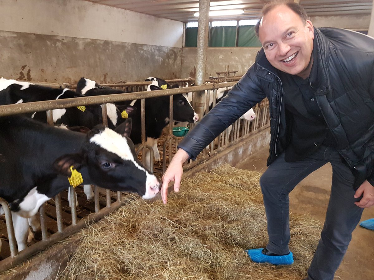 HupkesKarolien's tweet photo. Vandaag heeft onze burgemeester @peterdebaat kennis gemaakt met #Hippekoeien @gem_montferland . https://t.co/lPO2g9oJuo