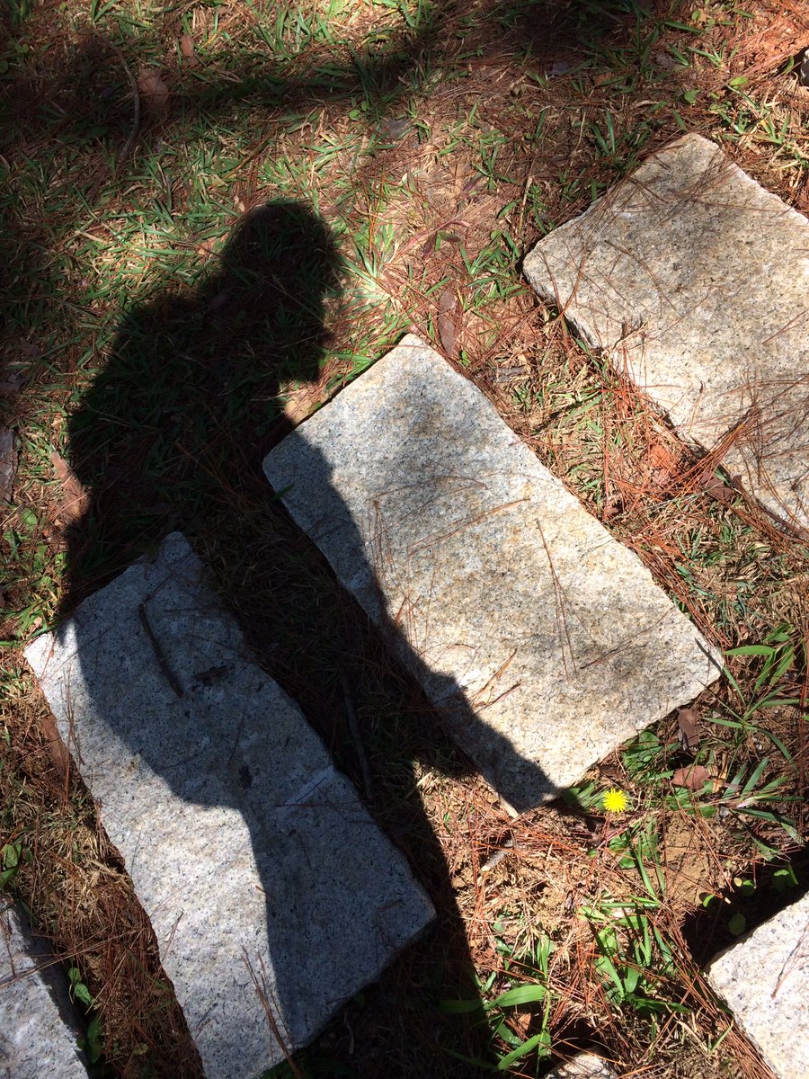 dansyboofhead's tweet image. The dandelion and I
#whatIdowhenimalone