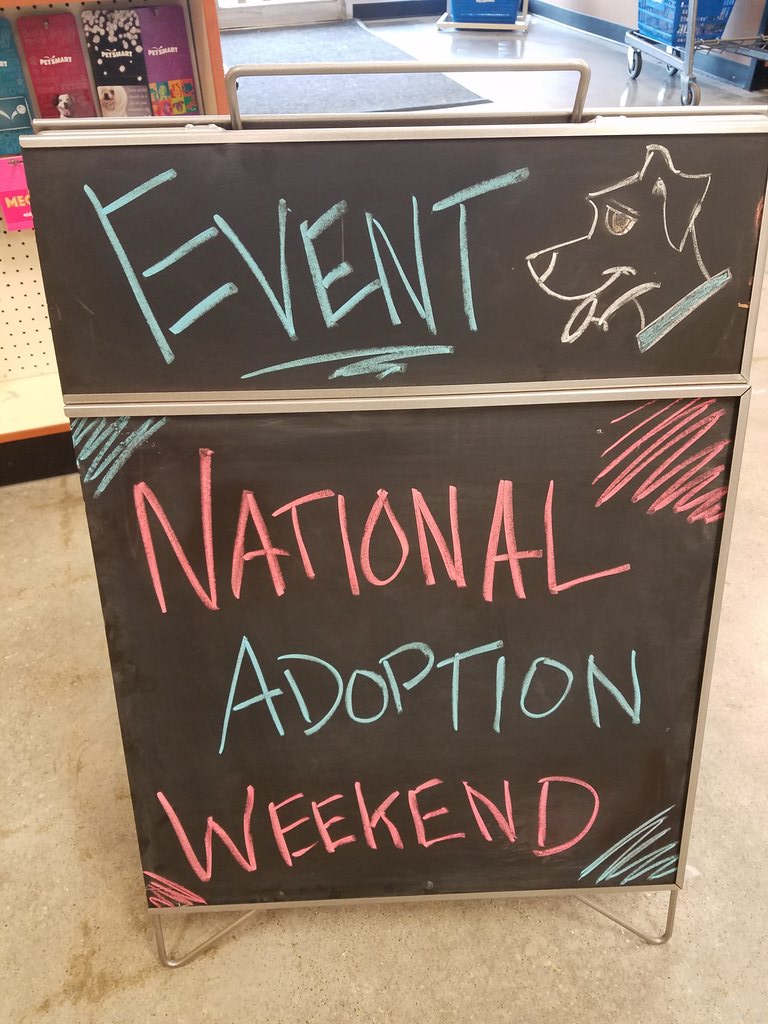 PetSmart LaPlace tweet media