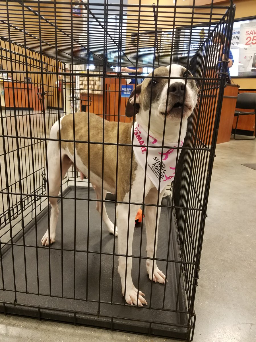 PetSmart LaPlace tweet media